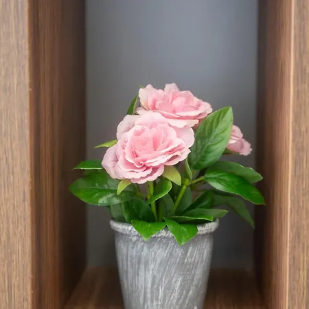 Lux Sara - Location & Stunning View شقة